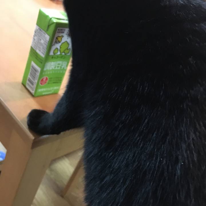 482e645b bd69 42b9 9af2 0d12740986a5