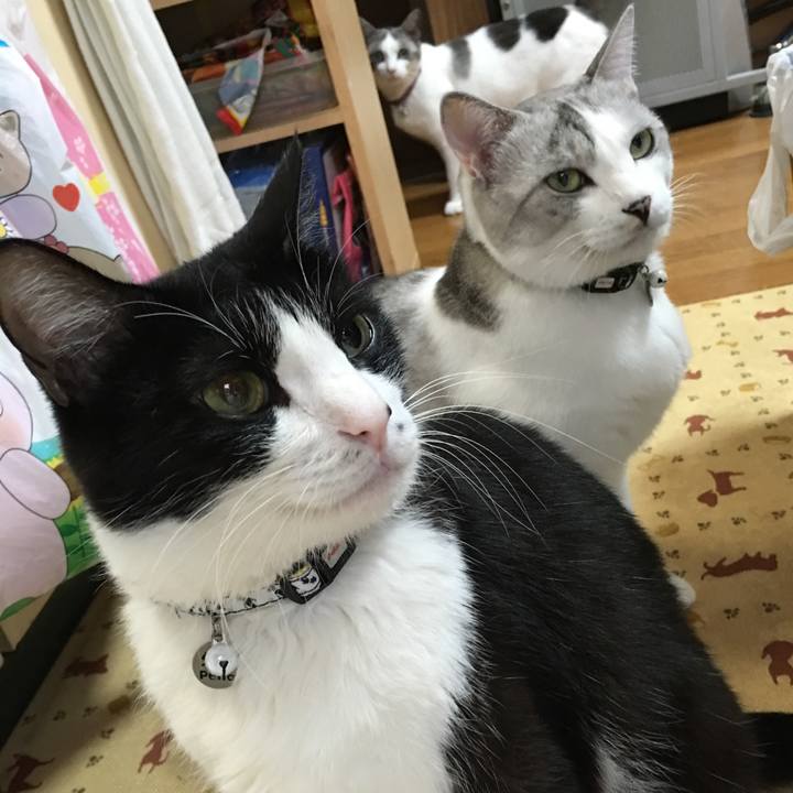 482e7006 df7d 4d40 9b85 6af0f417b7b7