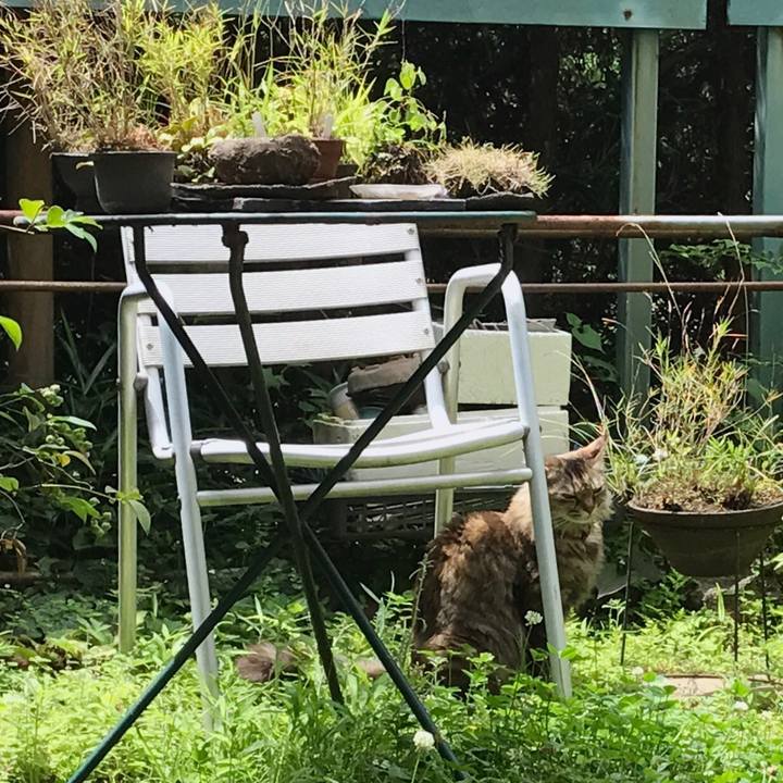 482ffe49 c89d 4d38 8042 1f41f97fe513