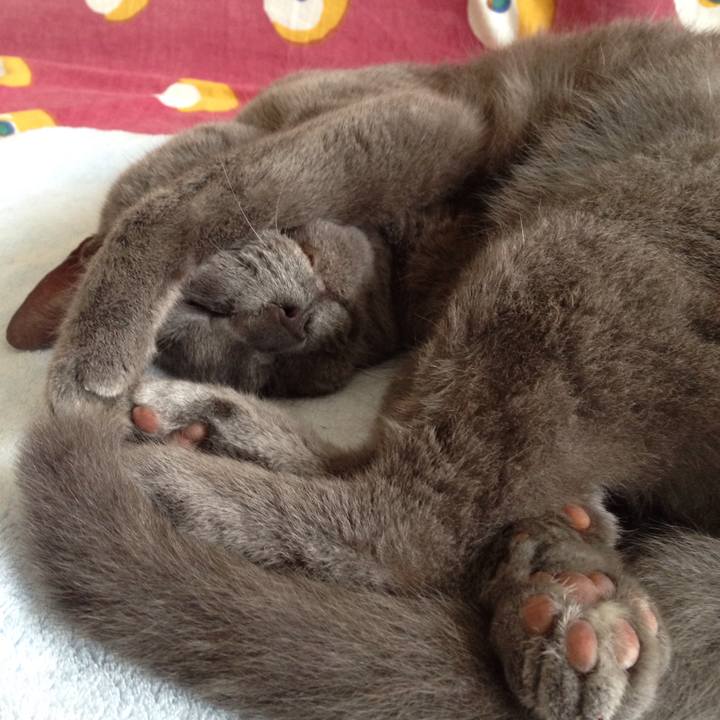 4830393a a77d 4b82 867e e61af118e239