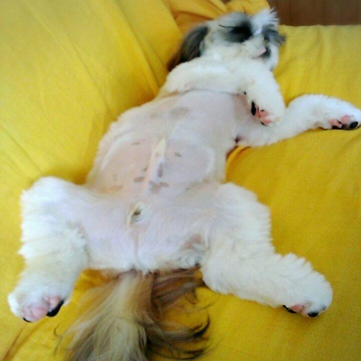 4830844c 820a 4ea6 8ff0 1abffa9113a4