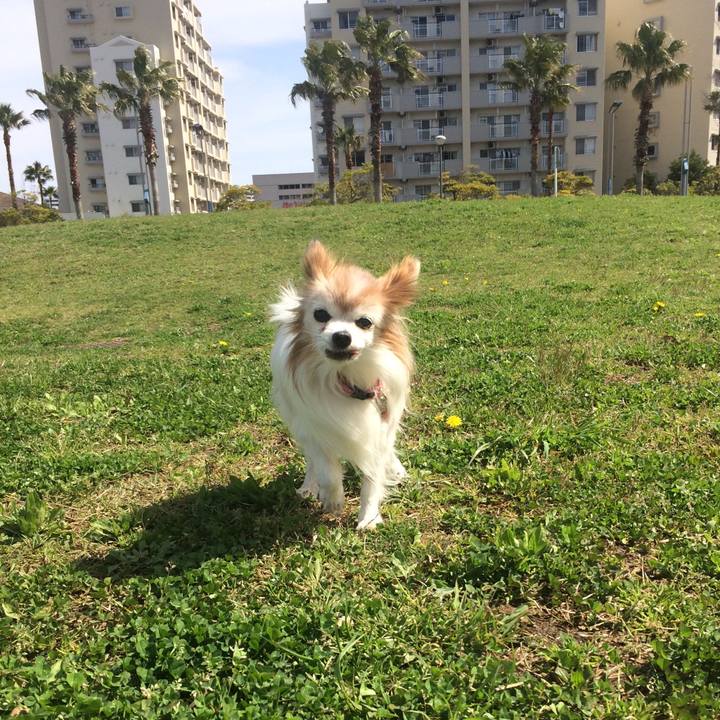 4830abde 03f6 452f 84e9 ba0c0ddb804e