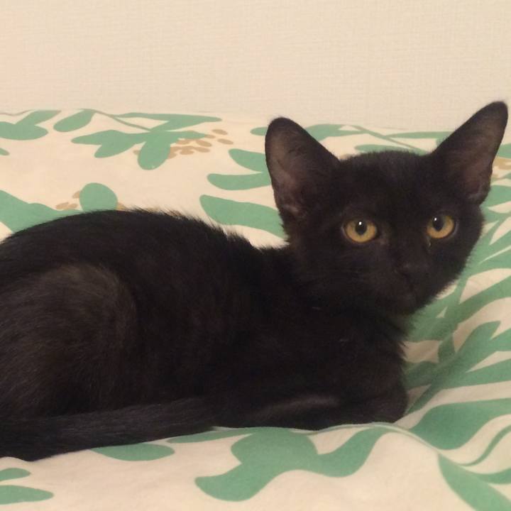 4830c940 257b 4115 83df 118c399a9eca