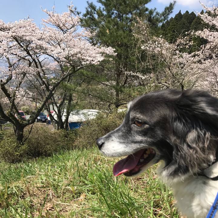 4831105a 0afd 473f b551 aed742057a6e