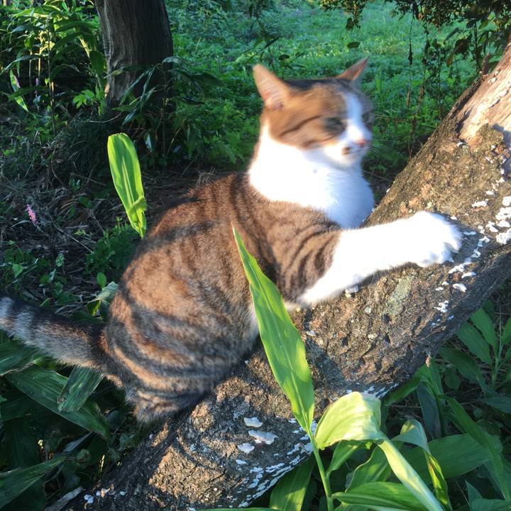 48322bdb 679e 4700 9e1d 3e41b57c035b