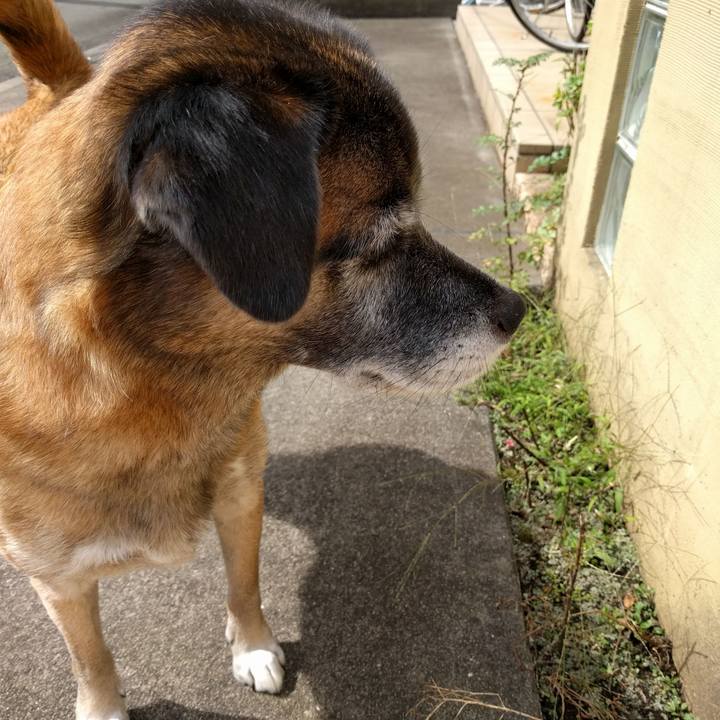 48323b2a a535 4dad 8dd6 38f6750e3b41