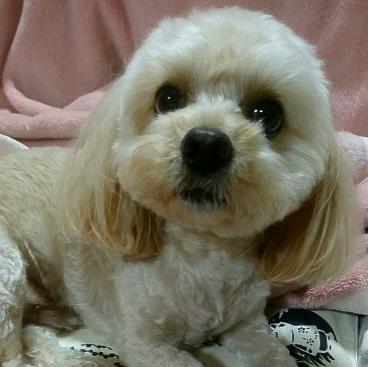 483295f1 9609 4a04 a889 211b327e7844