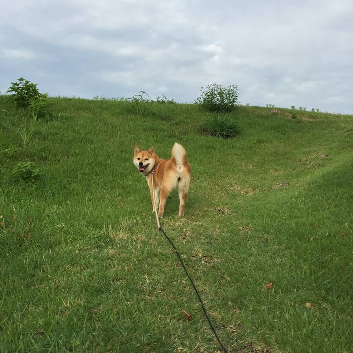 48340913 fb08 42d7 860a b691de86baca