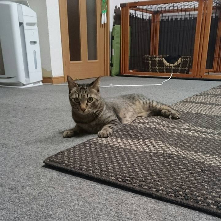 483439bd 149a 4132 b9b2 90a31225870c