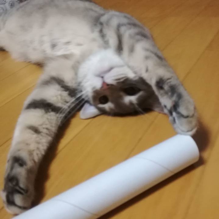 483503c0 38a9 4ce0 ba17 b190765f2825