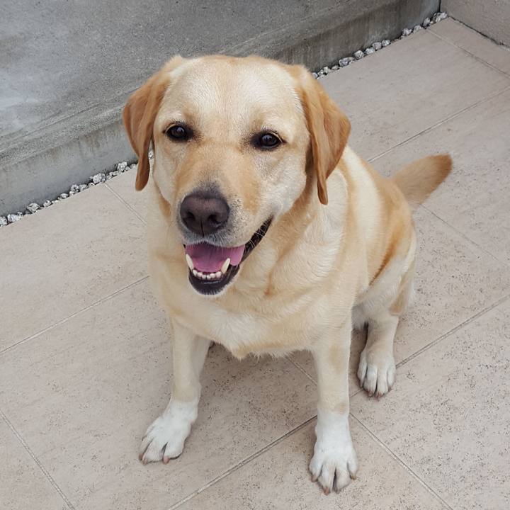 48368e2f bfa6 44f4 9a0f dc587747a1ec