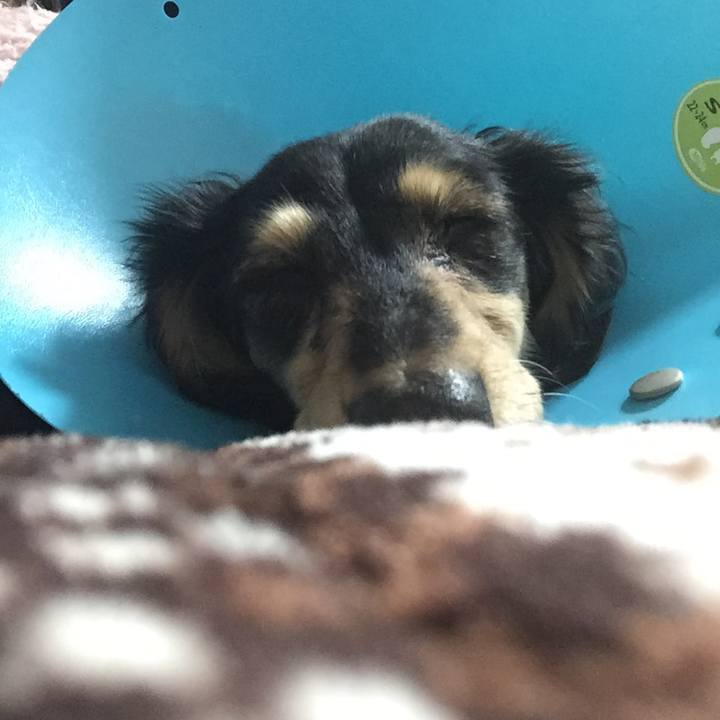 48373cd9 5b17 4d56 981b 73cd1f3534e1