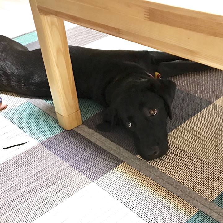 483761b6 f15c 488f b91a 4577d4e2b124