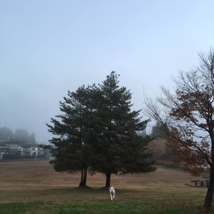 48380840 77ad 4b8e 8eed b4516d2b5cd4