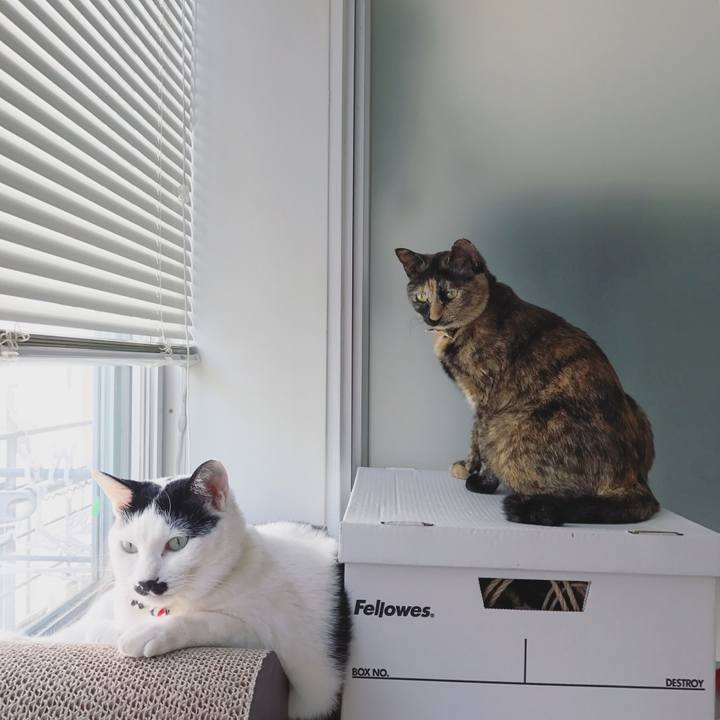 4838c4ed 6959 4295 9118 181c5399a390