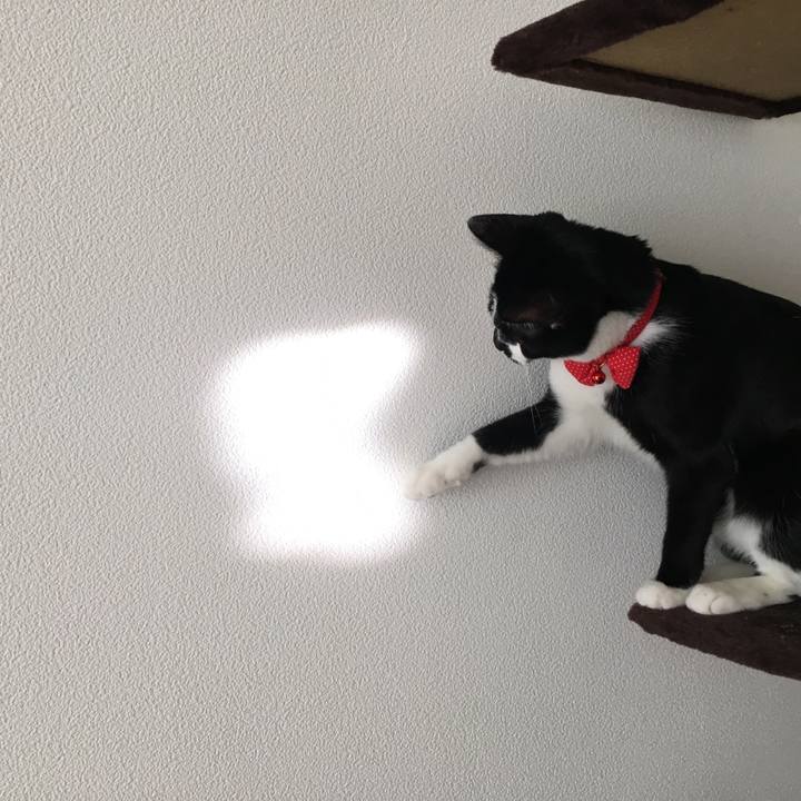 4838caf3 208b 4963 bd00 c55679dad040