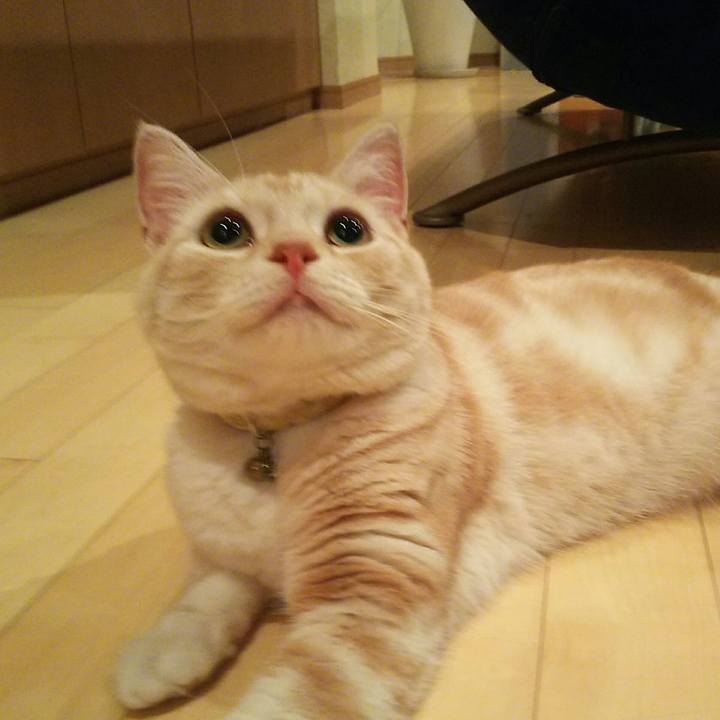 48394a21 e95a 4d33 8bd1 6a1351ad7dcf