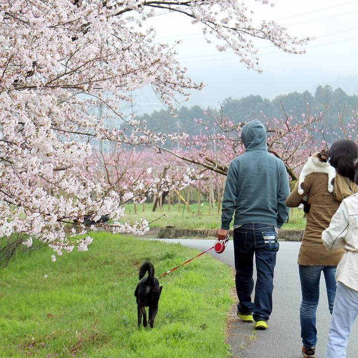 483974b8 7944 4bc7 a9a1 c68affdc9592