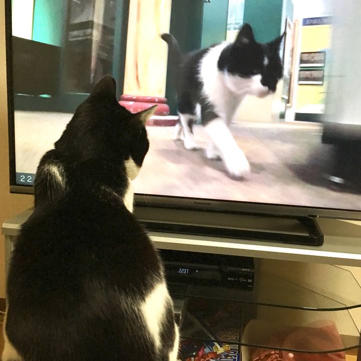 4839f16d 73ff 47c2 a863 148780cf1c0e