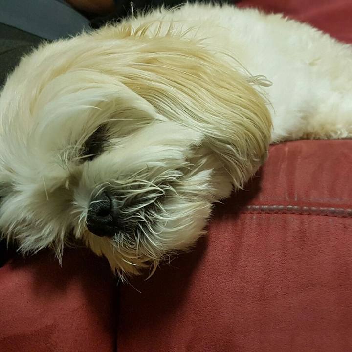 483ae217 dc0d 461f a32e b5721327ab51