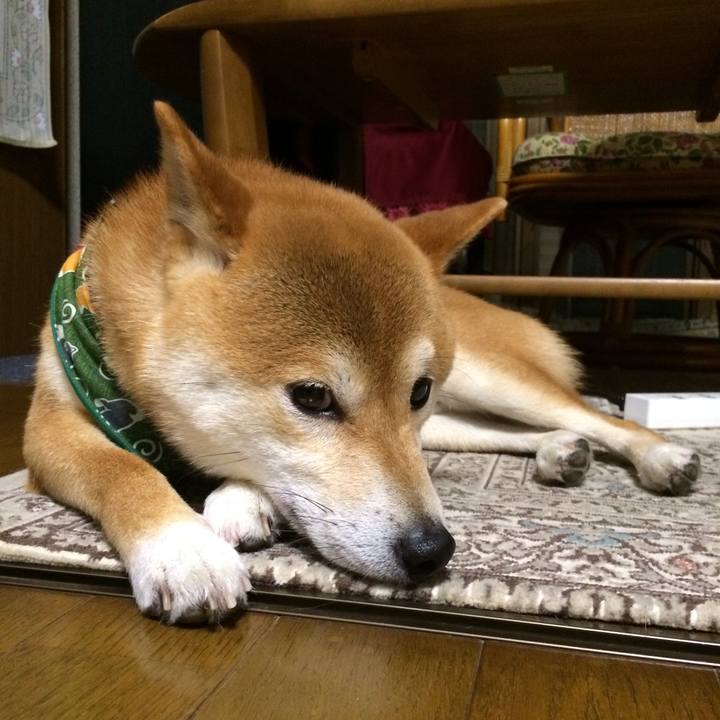 483b3229 02a1 410f a77f b1c286e914e3