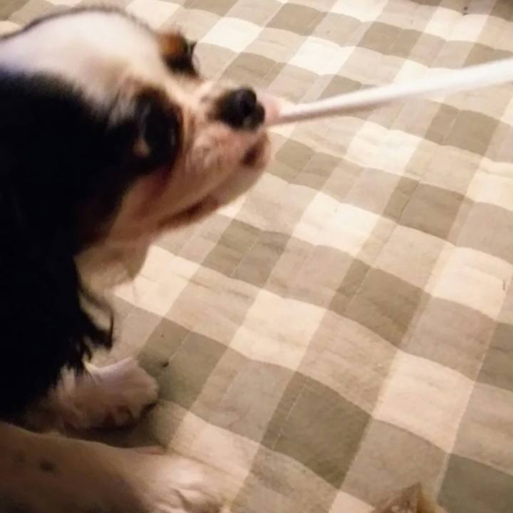 483b3b5c 8f28 4b8f 88ef 2c2b2864707a