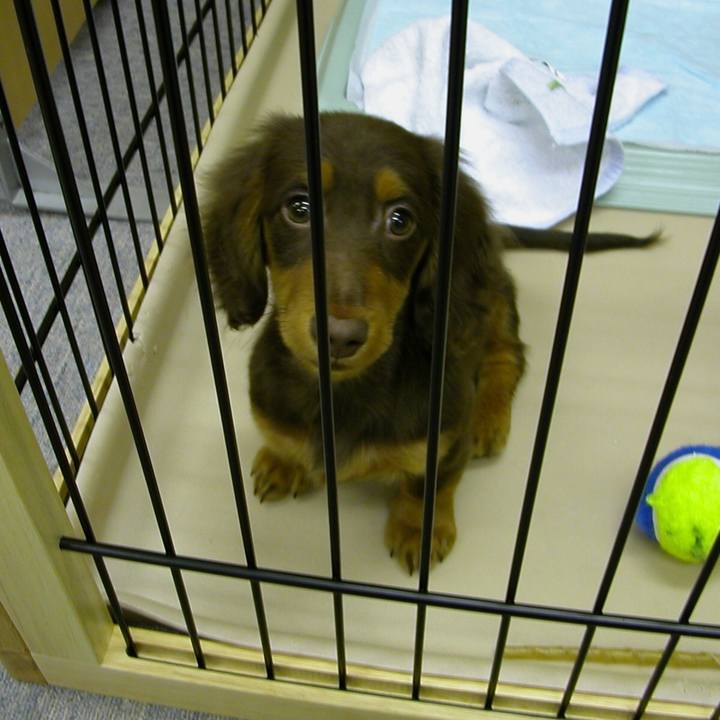 483b3d5e d5e1 4fab 946a 3b47a0f3ce28