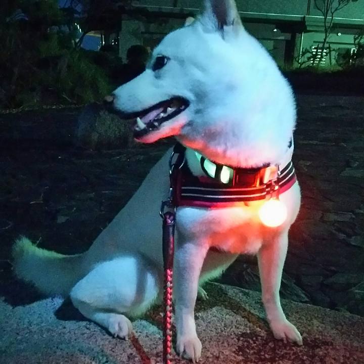 483bfa27 64d9 4cf8 a6dd 270a581bcb08