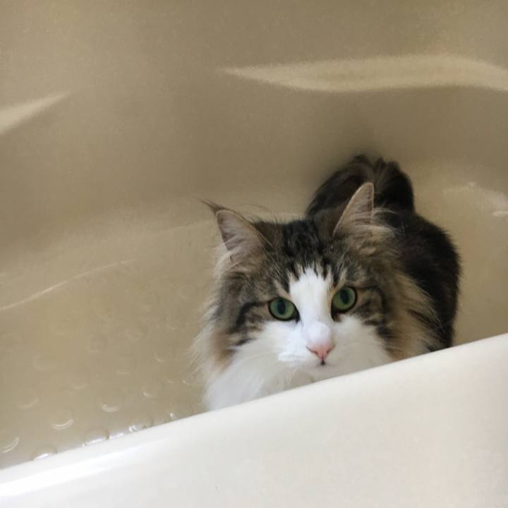 483c5ee4 386d 4ea1 bb9e e105b90cc524