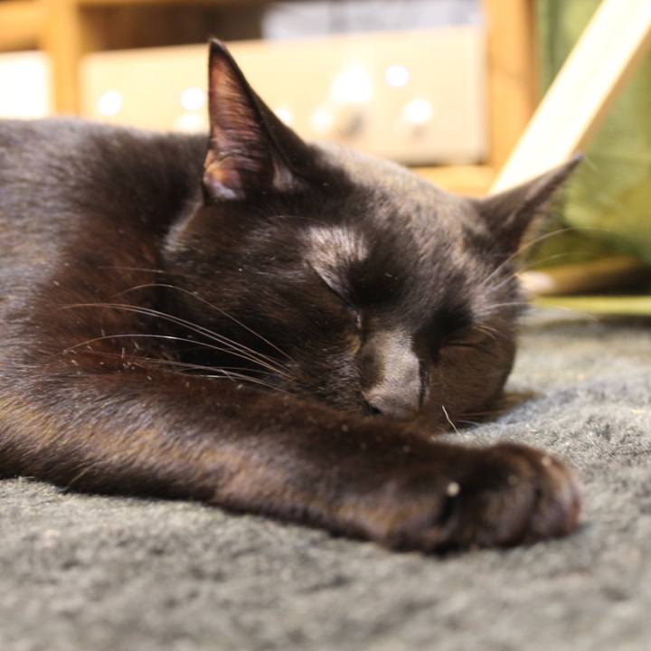 483c623e de12 43b1 8d65 d1d66cfa2aea