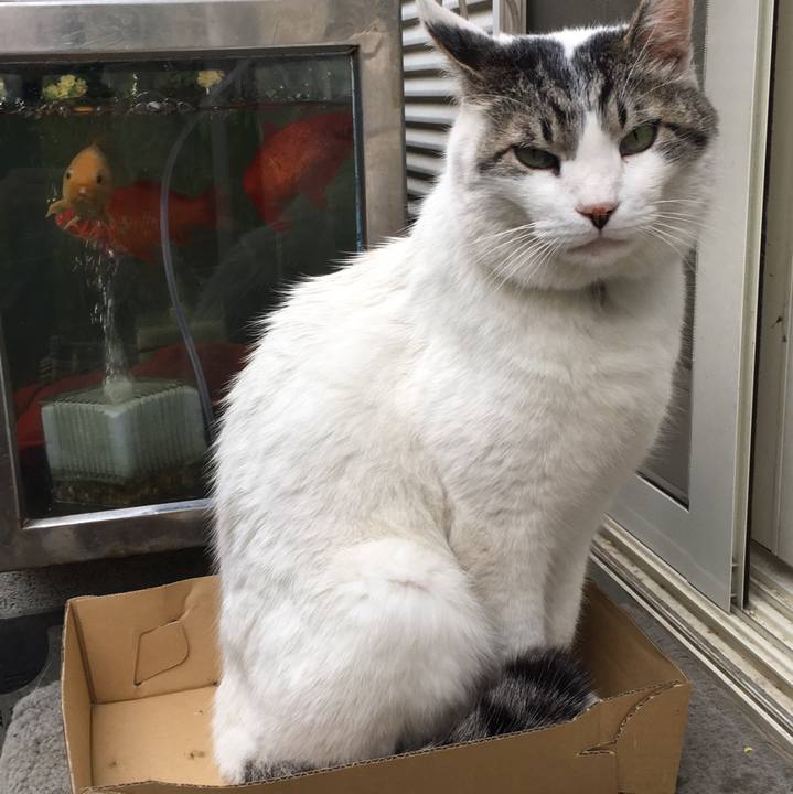 483cefcb 32a0 435f b685 f524b33e4f81