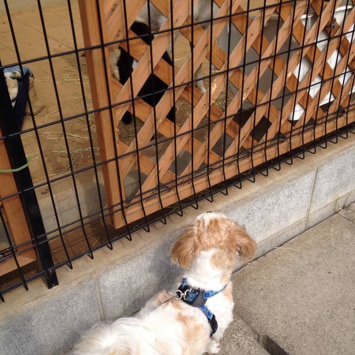 483cf4ad ff79 4cee 981f 4496d879fee4