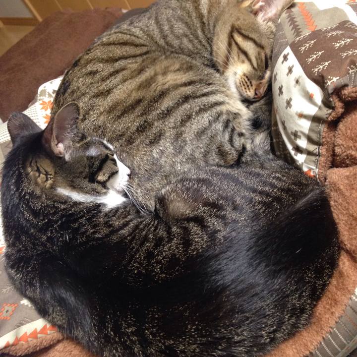 483dc461 b593 49cb bf04 ada52d0d0ac9