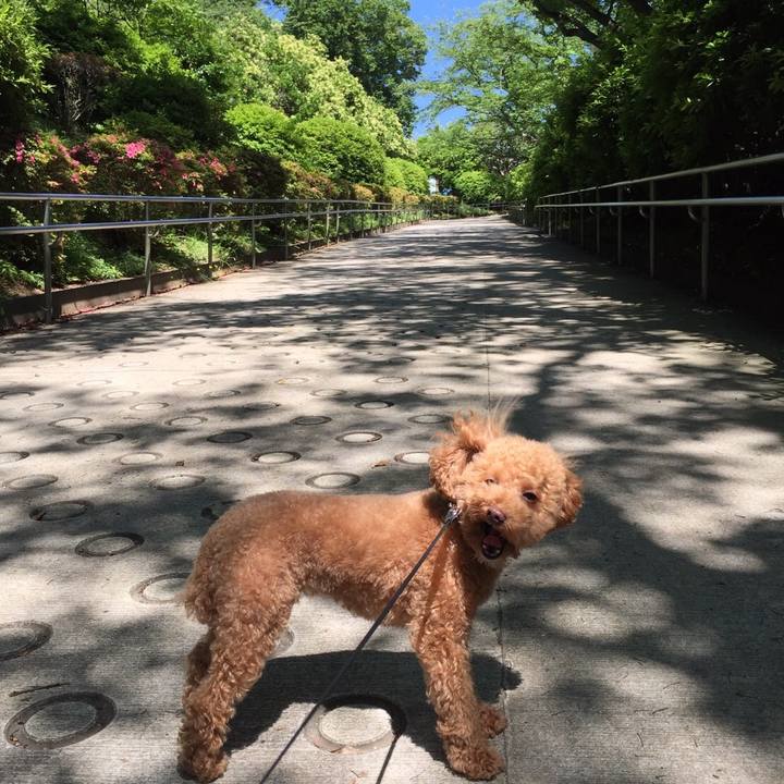 483df248 68bc 4d39 bce2 59f9c0264932