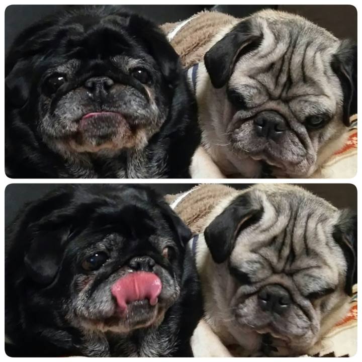 483df864 347e 4d85 b8cb c26ccd2ad89a