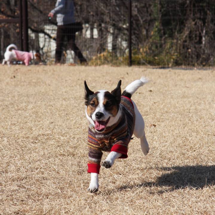 483fba67 8850 440c bab6 634ca7f570ca