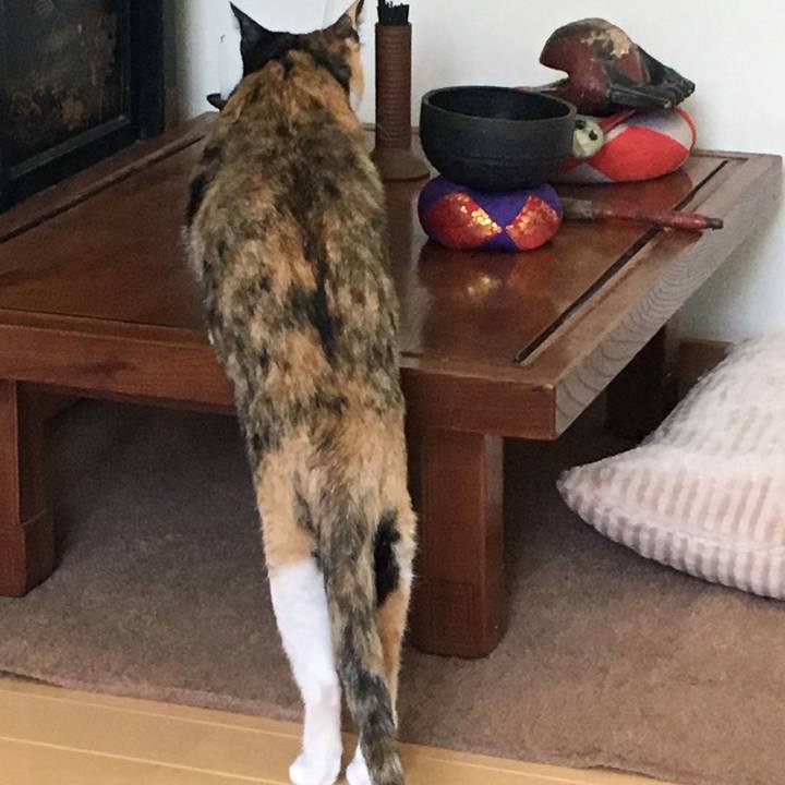 48402ffb f127 44db b24b 2903d194ea85