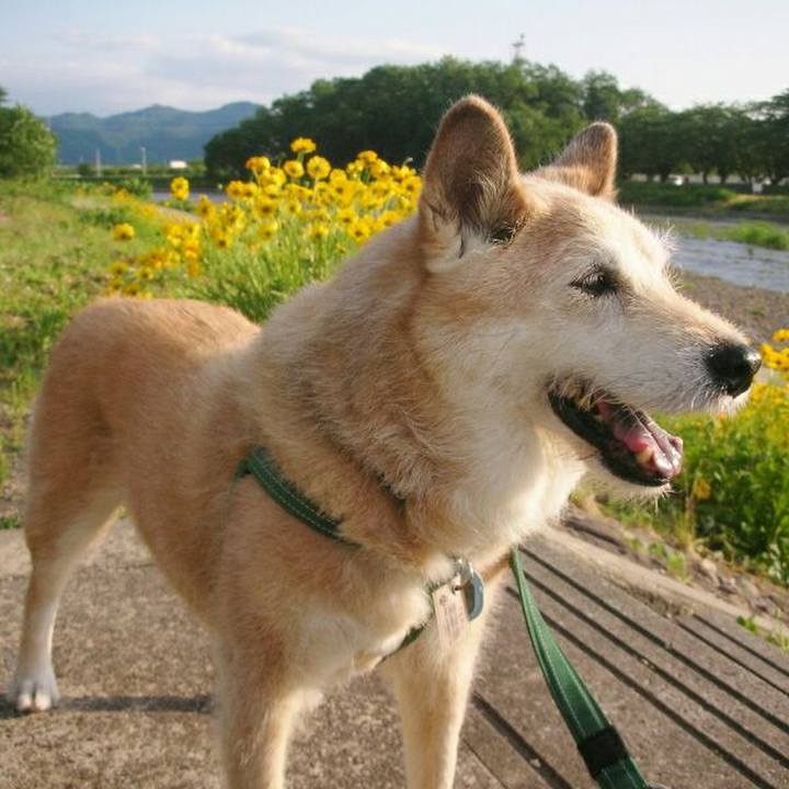 48404fa6 6dd2 492c ba65 ddce944f22af