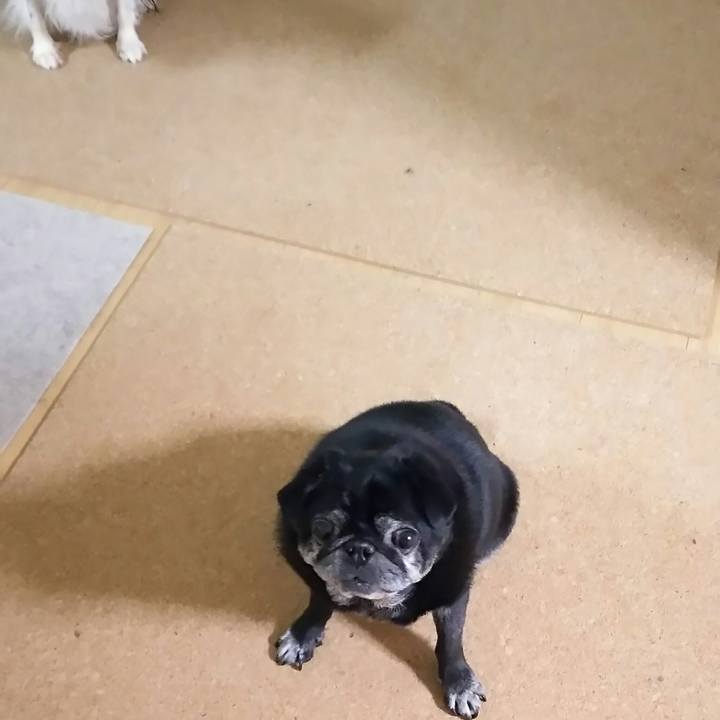 484095e1 6839 4a2d aafc ce9db1f48a62