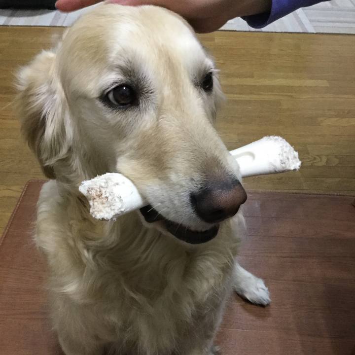 4840ac87 3f69 42e9 b0b7 8154e9f79567