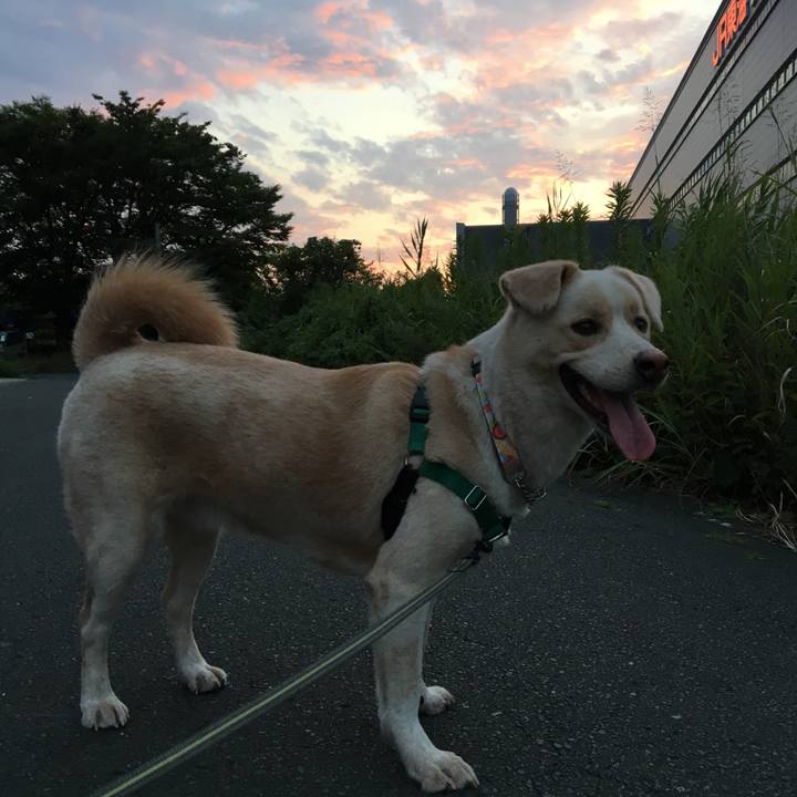 484131d3 b35e 40ec 9e8c 076a15700bb6