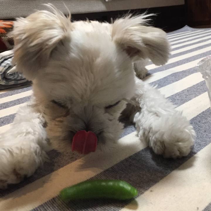 48417045 ebe6 4906 ad03 0e7fa98f3a60