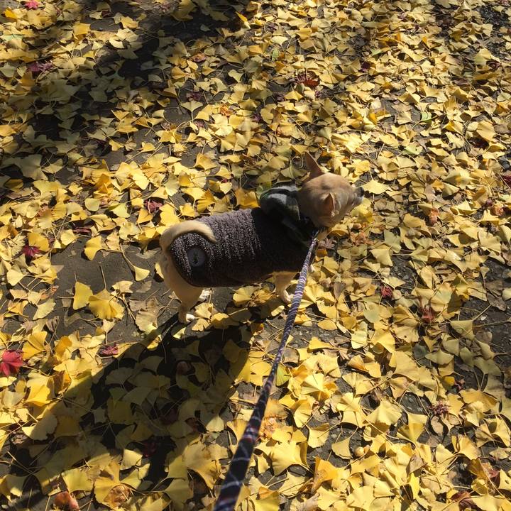 48420d68 51e7 4ffd 953a 4e1b9e968398