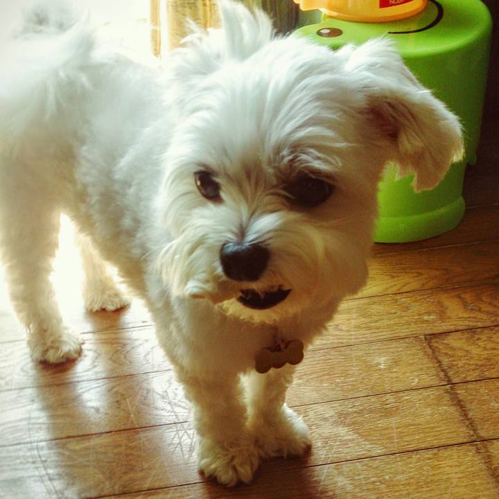 4842d9c0 8df6 480c adfe 359a5d59fc24