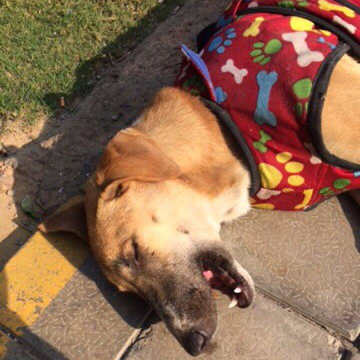 4842fdf5 b97e 45ad a1a6 dd3b0bf56d7a