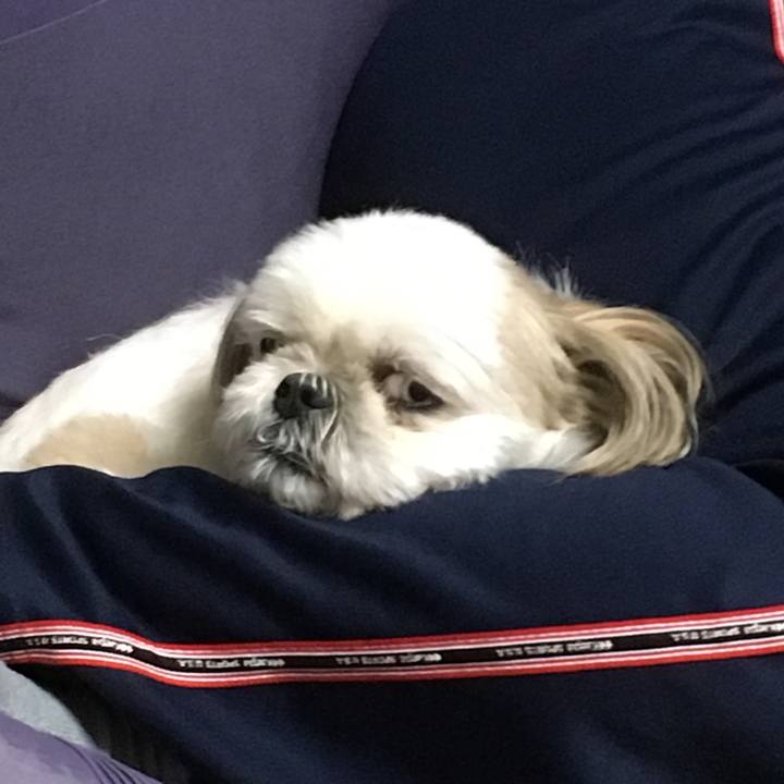 4843302d a790 47c7 835d 9ee682f2b44e