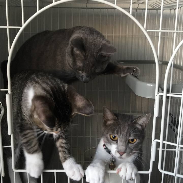 48442b90 3ed3 4256 b0c3 0dc0df3e1bbd