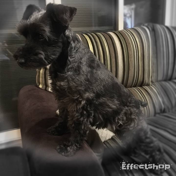 4844ded3 f2de 48f3 ae75 9ae84c059b68