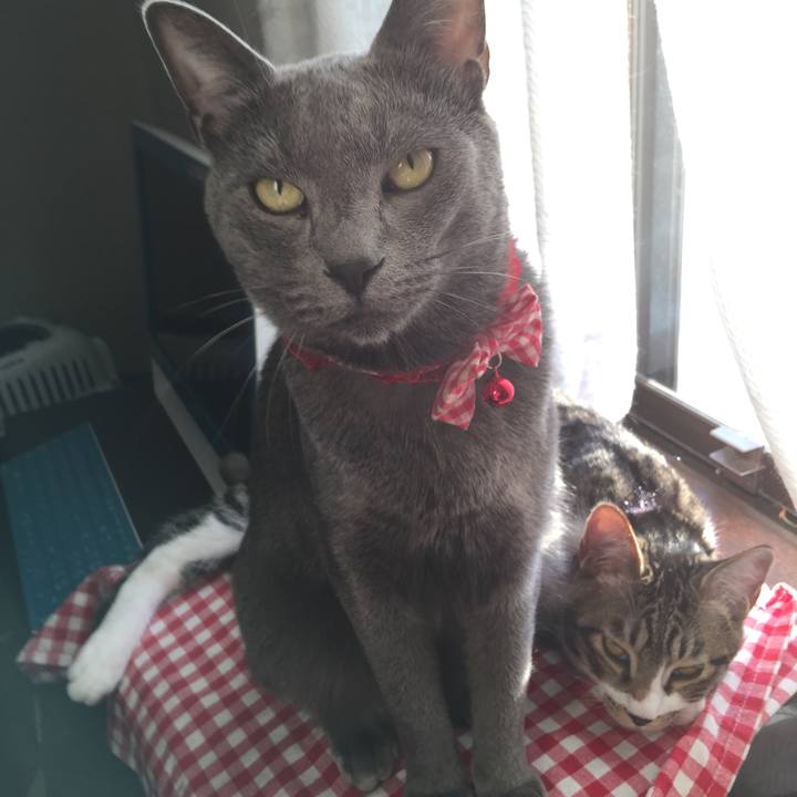 48457f49 5069 44a3 8675 f5bd582e49de