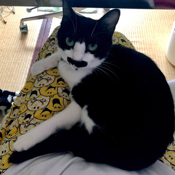 48458480 0230 4e51 910b e220b3810d57